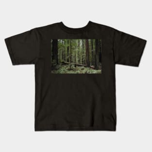 California Redwoods Kids T-Shirt